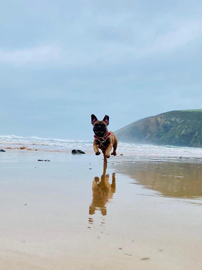 Daphne'S Lodge Mawgan Porth Exteriér fotografie